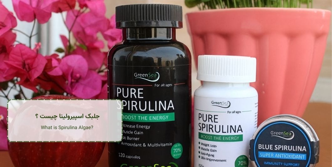 What is Spirulina Algae - جلبک اسپیرولینا چیست ؟