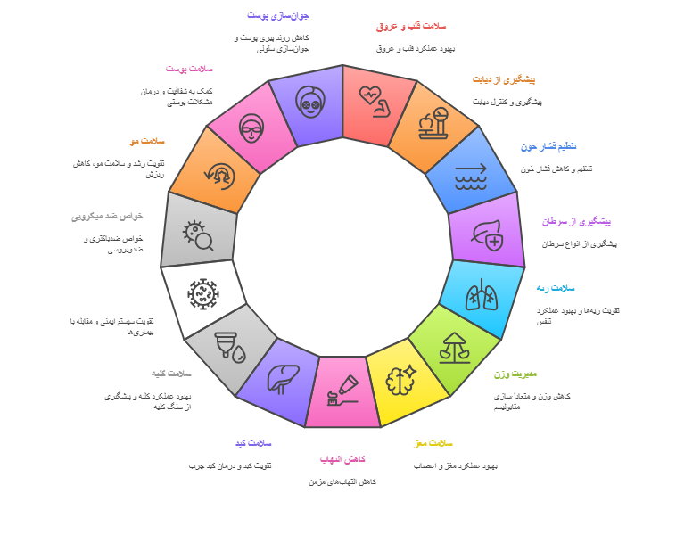 از کجا مورینگا بخریم ؟