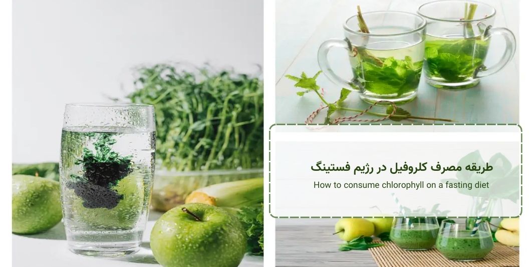 How to consumeکلروفیل در فستینگ - chlorophyll on a fasting diet - 🧪 طریقه مصرف کلروفیل در رژیم فستینگ